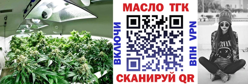 MEGA онион  где купить наркотик  Дальнереченск  ТГК жижа 