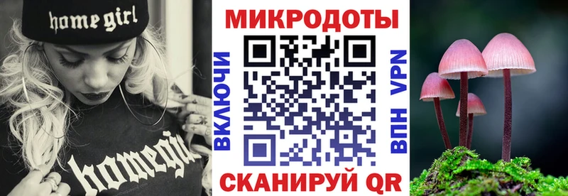 Галлюциногенные грибы Psilocybine cubensis Дальнереченск