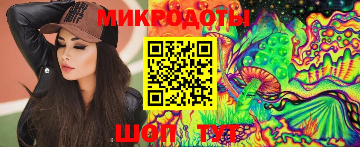 Галлюциногенные грибы Psilocybine cubensis Дальнереченск